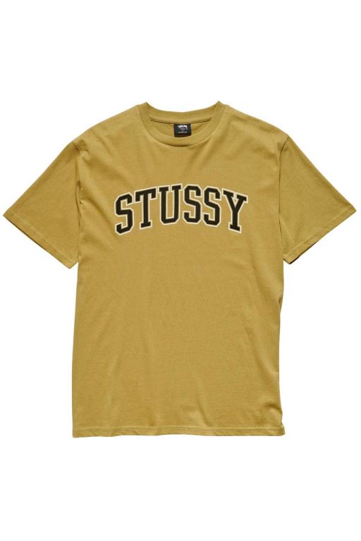 Stussy Womens Collegiate BF T Shirt Brown - MEJBR7940